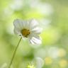 3岁女童高铁座位与母亲相隔8节车厢